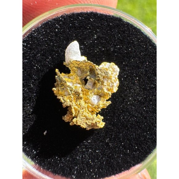 California Native Gold on Quartz Crystal - 0.76 grams - Picture 3 of 7